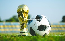 球王会-瑞典篮球选手受伤退出比赛，备受遗憾，瑞典篮球明星