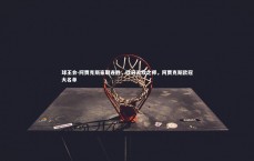 球王会-阿贾克斯豪取连胜，欧冠无敌之师，阿贾克斯欧冠大名单