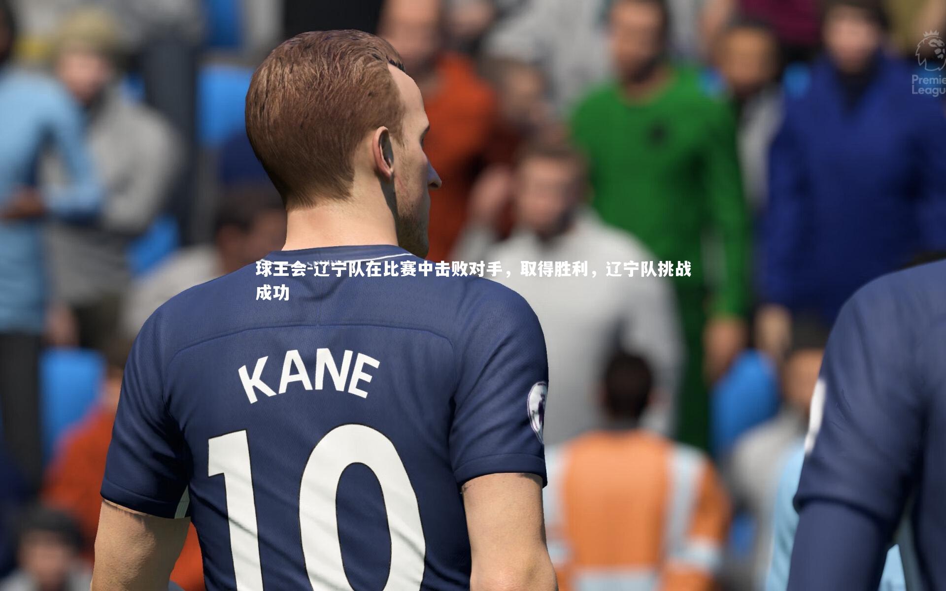 辽宁队在比赛中击败对手,取得胜利,辽宁队挑战成功