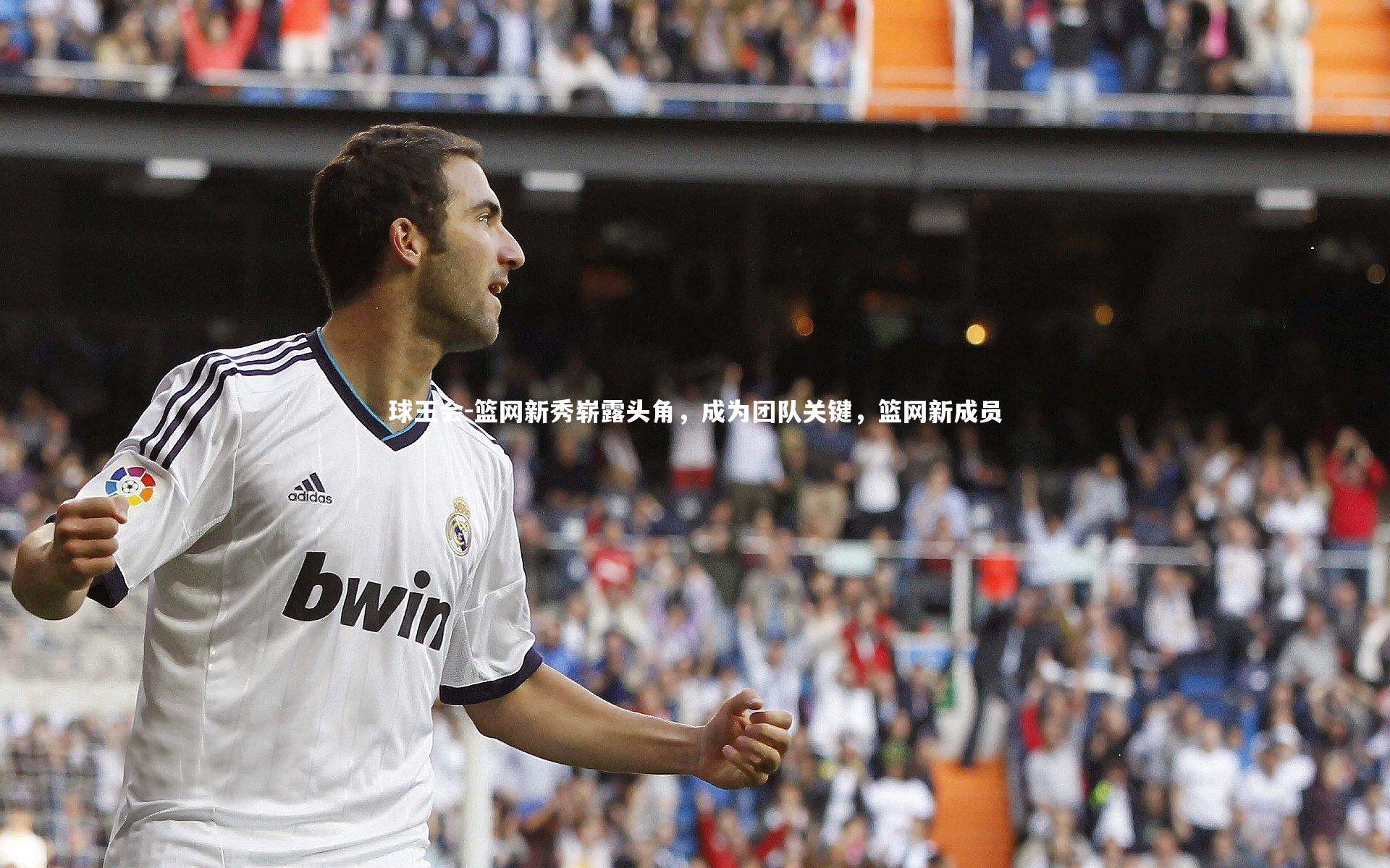 篮网新秀崭露头角，成为团队关键，篮网新成员